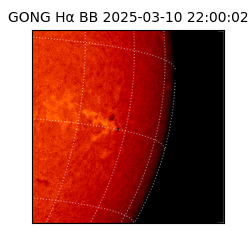 gong - 2025-03-10T22:00:02