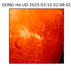 gong - 2025-03-10T02:08:02