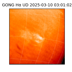 gong - 2025-03-10T03:01:02