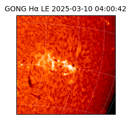 gong - 2025-03-10T04:00:42