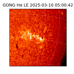 gong - 2025-03-10T05:00:42