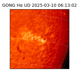 gong - 2025-03-10T06:13:02