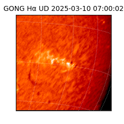 gong - 2025-03-10T07:00:02