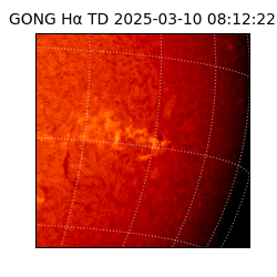 gong - 2025-03-10T08:12:22