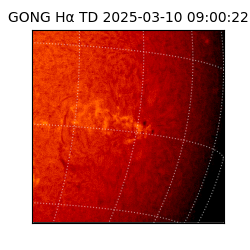 gong - 2025-03-10T09:00:22