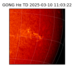 gong - 2025-03-10T11:03:22