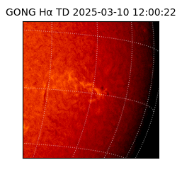 gong - 2025-03-10T12:00:22