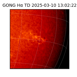 gong - 2025-03-10T13:02:22
