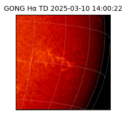 gong - 2025-03-10T14:00:22