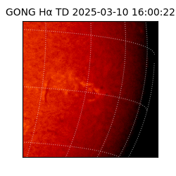 gong - 2025-03-10T16:00:22