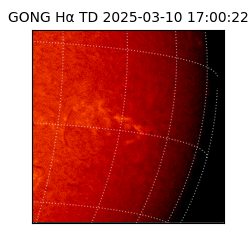 gong - 2025-03-10T17:00:22