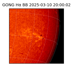 gong - 2025-03-10T20:00:02