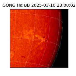 gong - 2025-03-10T23:00:02