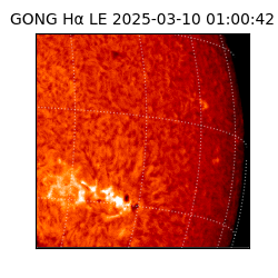 gong - 2025-03-10T01:00:42