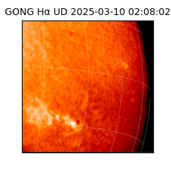 gong - 2025-03-10T02:08:02