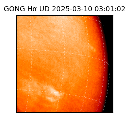 gong - 2025-03-10T03:01:02