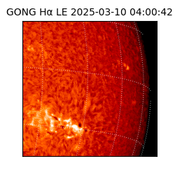 gong - 2025-03-10T04:00:42