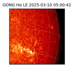 gong - 2025-03-10T05:00:42