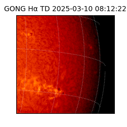gong - 2025-03-10T08:12:22