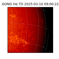 gong - 2025-03-10T09:00:22