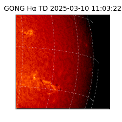 gong - 2025-03-10T11:03:22
