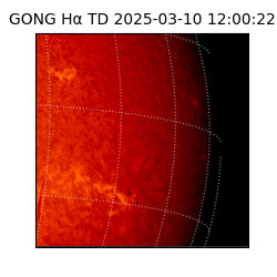 gong - 2025-03-10T12:00:22