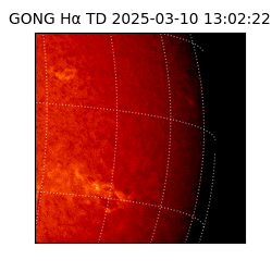 gong - 2025-03-10T13:02:22