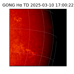 gong - 2025-03-10T17:00:22