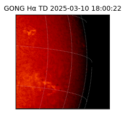 gong - 2025-03-10T18:00:22