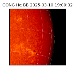 gong - 2025-03-10T19:00:02