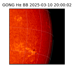 gong - 2025-03-10T20:00:02