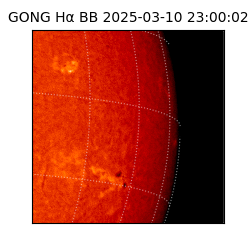 gong - 2025-03-10T23:00:02