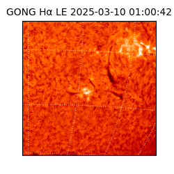 gong - 2025-03-10T01:00:42