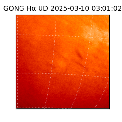 gong - 2025-03-10T03:01:02