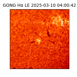 gong - 2025-03-10T04:00:42