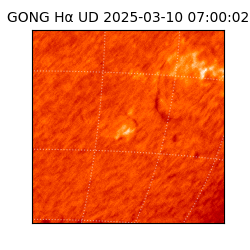 gong - 2025-03-10T07:00:02