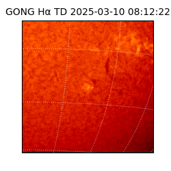 gong - 2025-03-10T08:12:22