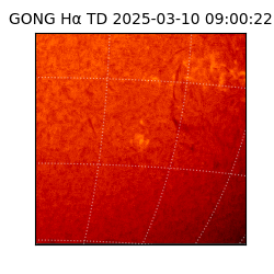 gong - 2025-03-10T09:00:22