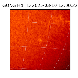 gong - 2025-03-10T12:00:22