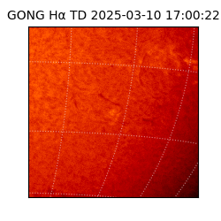 gong - 2025-03-10T17:00:22