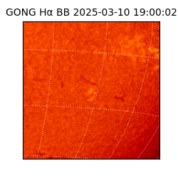 gong - 2025-03-10T19:00:02