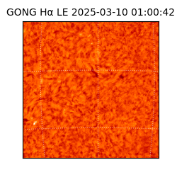 gong - 2025-03-10T01:00:42
