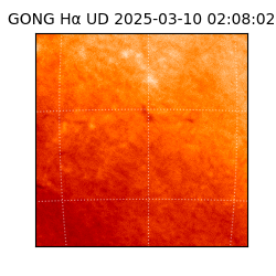 gong - 2025-03-10T02:08:02