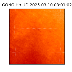 gong - 2025-03-10T03:01:02