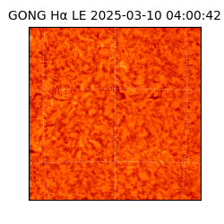 gong - 2025-03-10T04:00:42