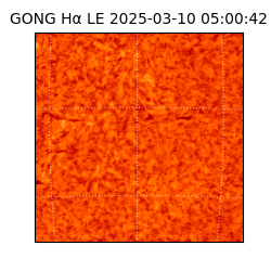 gong - 2025-03-10T05:00:42