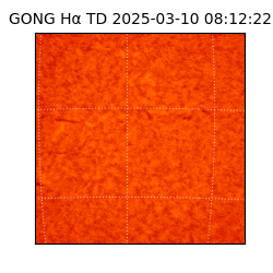 gong - 2025-03-10T08:12:22