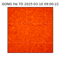 gong - 2025-03-10T09:00:22