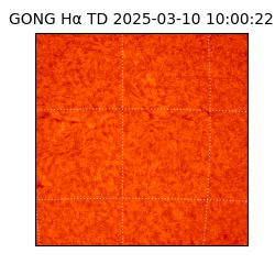 gong - 2025-03-10T10:00:22