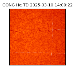 gong - 2025-03-10T14:00:22